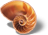 nautilus-icon.png