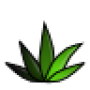 agave-icon.png